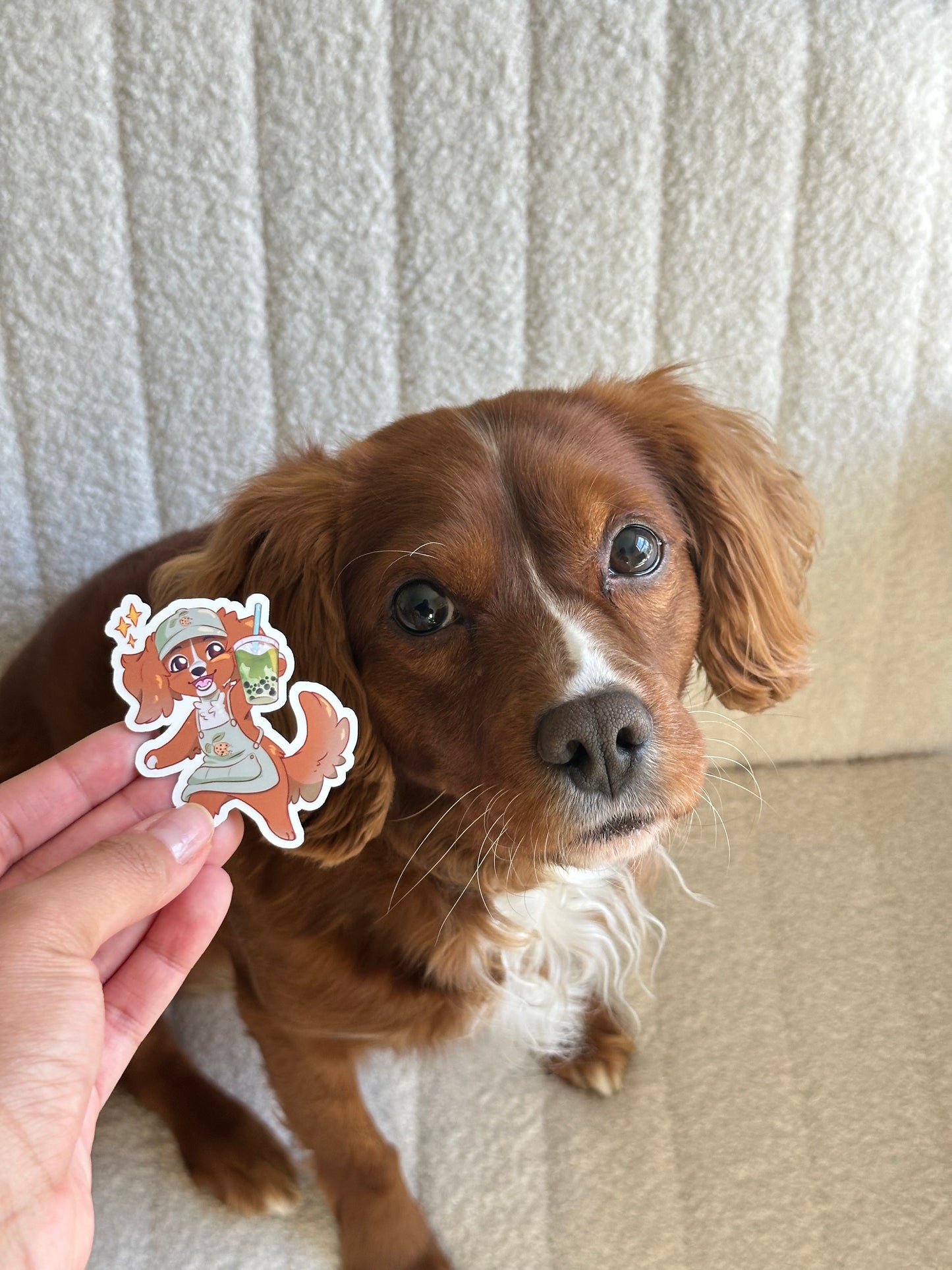 Boba Barista Jax Sticker
